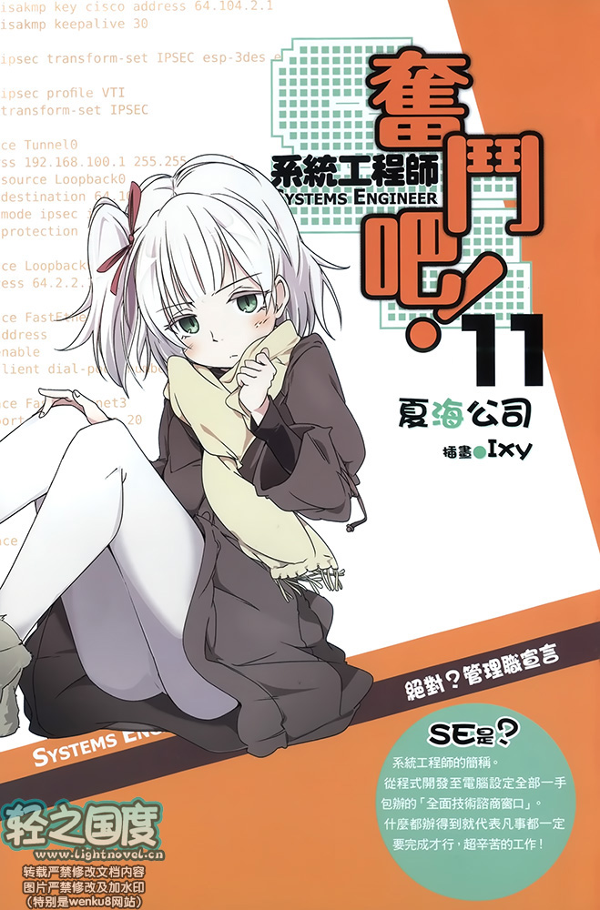 奋斗吧 系统工程师11
